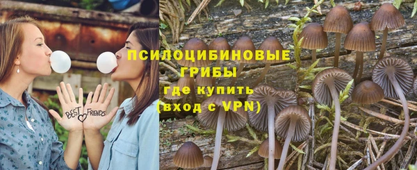 спиды Арсеньев