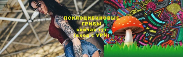 герыч Аркадак