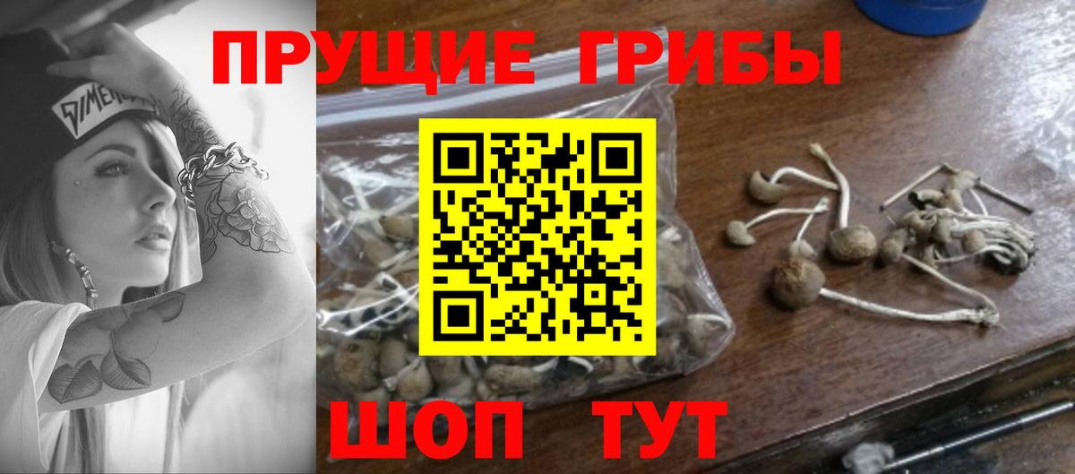 Галлюциногенные грибы мухоморы Сатка