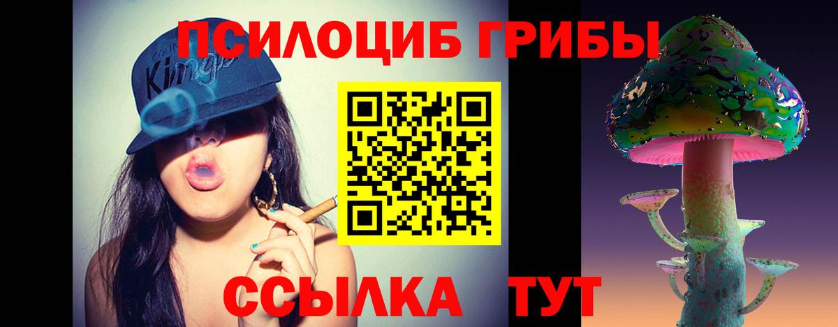 Псилоцибиновые грибы Magic Shrooms  Вход с VPN  сколько стоит  Сатка  Галлюциногенные грибы мицелий 